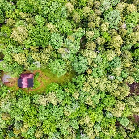 Lost Pond Cabin Schroon Lake Dış mekan fotoğraf