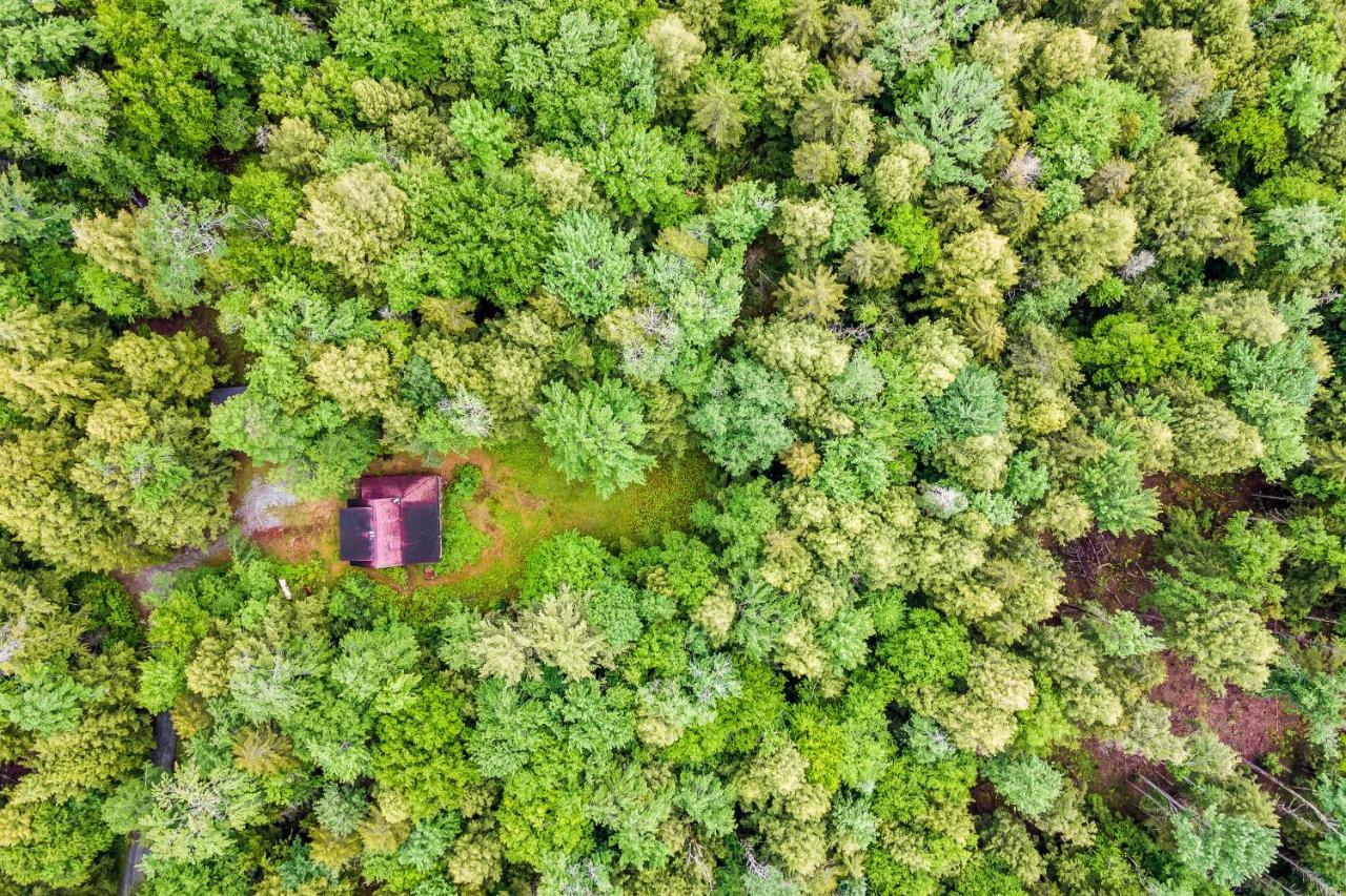 Lost Pond Cabin Schroon Lake Dış mekan fotoğraf
